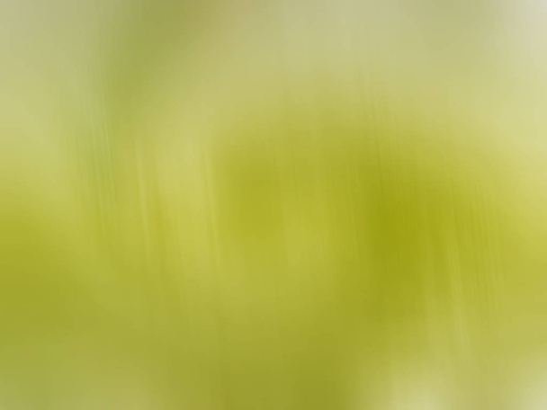 abstract blurred yellow background - Photo, Image