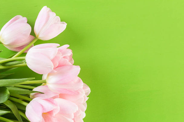 Roze tulpen bekijken - Foto, afbeelding