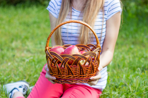 Joven hermosa mujer está acostada en la hierba verde. Una chica y una cesta de manzanas rojas. Primavera cálida
. - Foto, Imagen