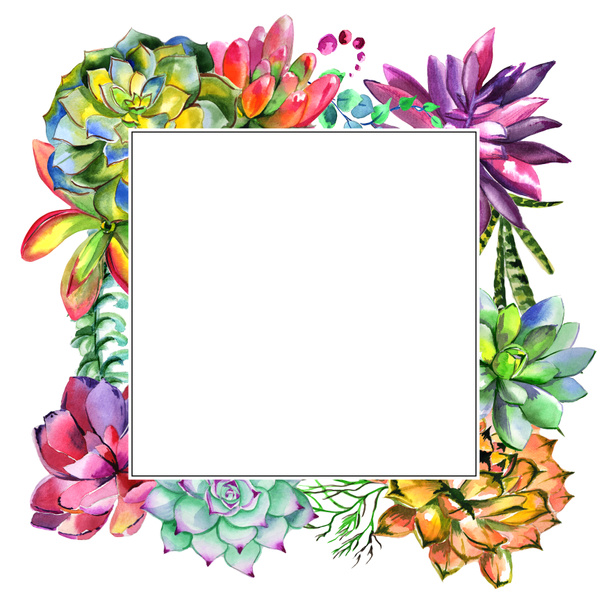 Wildflower succulentus flower frame in a watercolor style isolated. - Valokuva, kuva