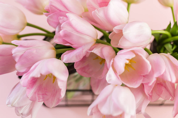 Light pink tulips  - Photo, Image
