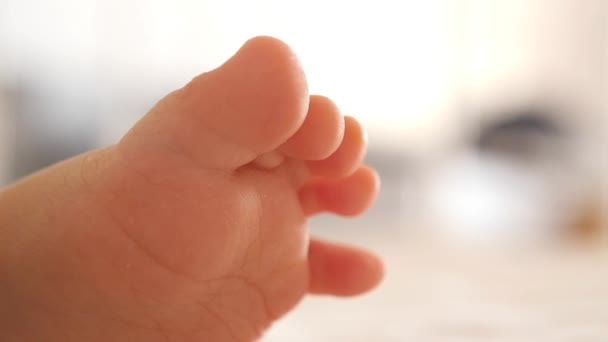 adorable cute baby feet - Footage, Video