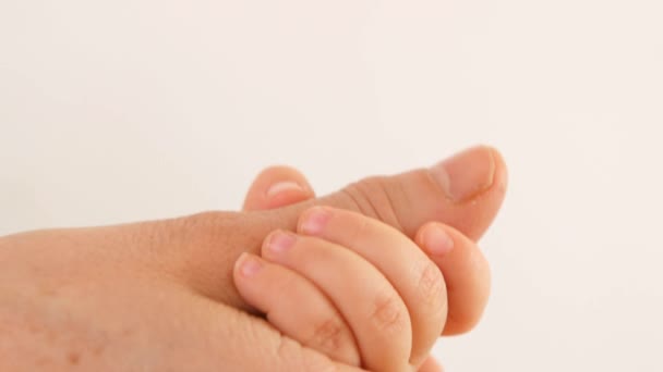 Moeder bedrijf baby's handen - Video