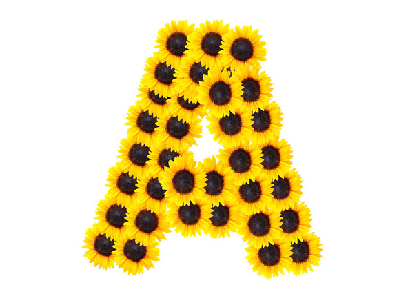 Letter A alphabet with sunflower. - Фото, изображение