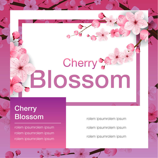 cseresznyevirág, banner tervezés, sakura Japán, vektoros illusztráció - Vektor, kép