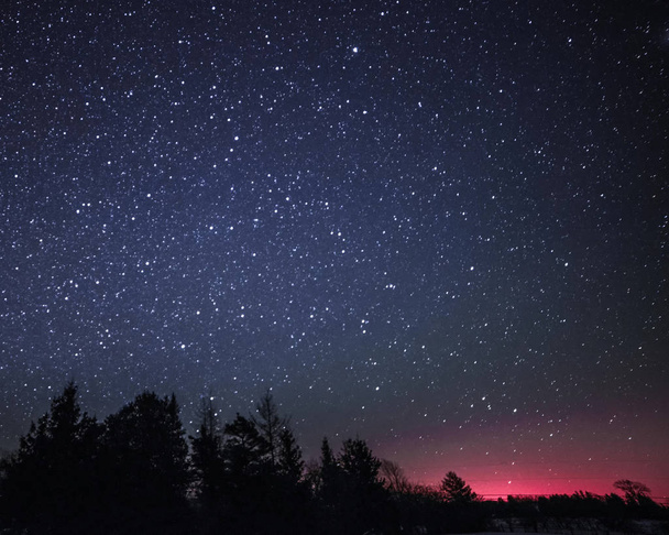 木と星の夜に田舎の冬の風景 - 写真・画像