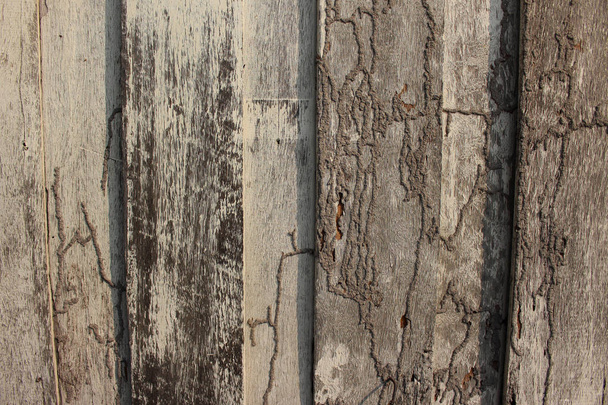 Closed up grey wood slat with termite nests. - Foto, Bild