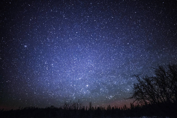 ländliche Winterlandschaft bei Nacht mit Bäumen und Sternen - Foto, Bild