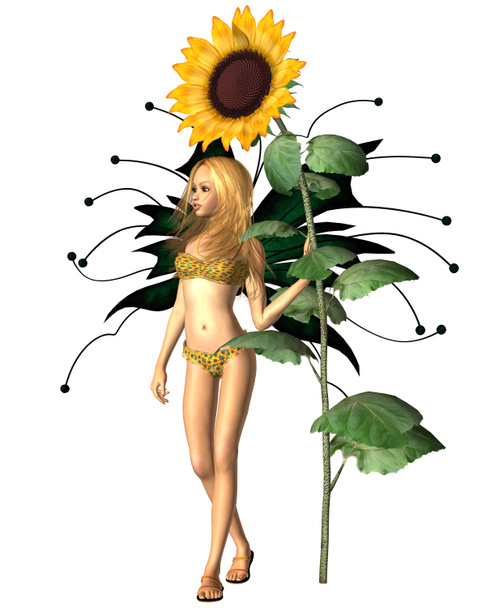 Letní slunečnice víla - Fotografie, Obrázek