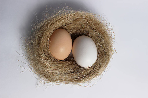 Dois ovos no ninho
 - Foto, Imagem