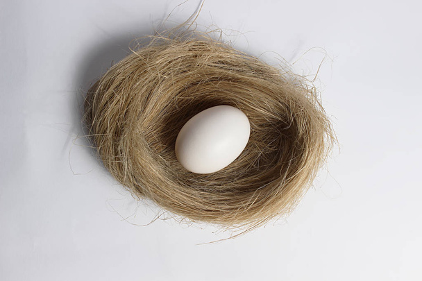 Egg in the nest - Fotoğraf, Görsel