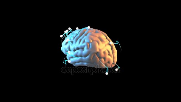 cerebro humano - Animación
 - Metraje, vídeo