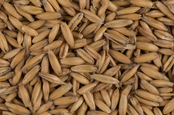 natural oat grains background, closeup - Foto, Imagem