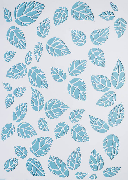 white, blue background leaves. leaves cut from paper - Foto, Imagen