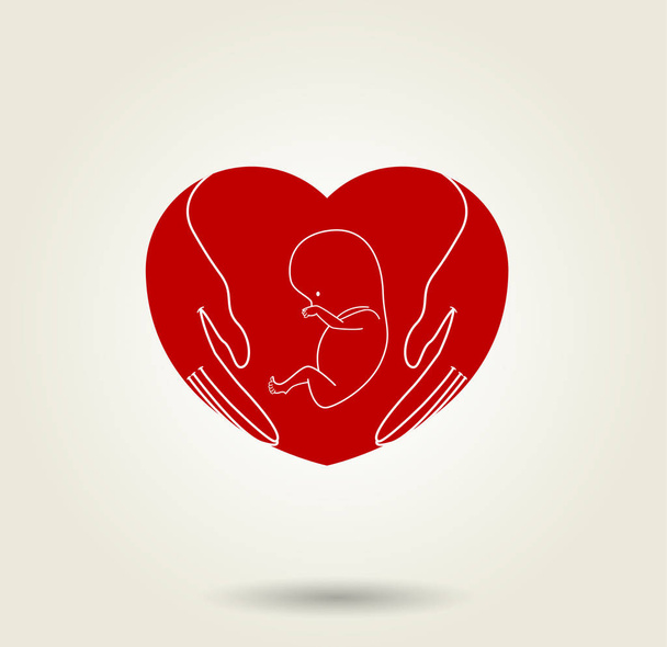 Концептуальный символ рук, защищающих эмбрион
 - Вектор,изображение