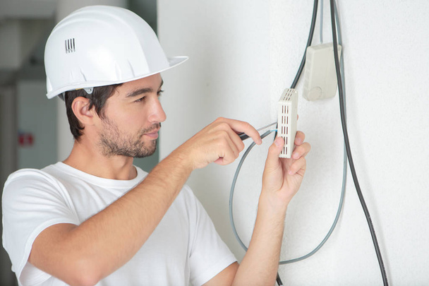 electrician installing a socket - 写真・画像