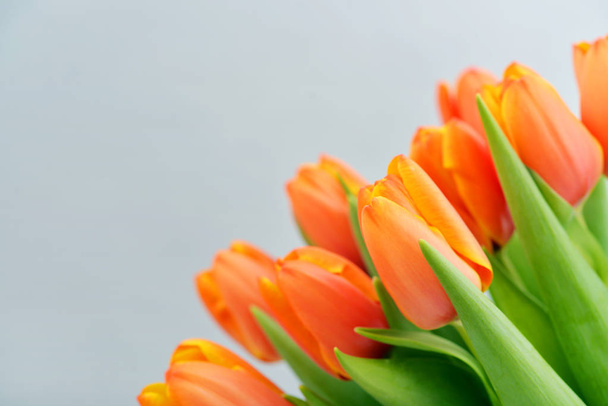 Bouquet of red tulips - Zdjęcie, obraz