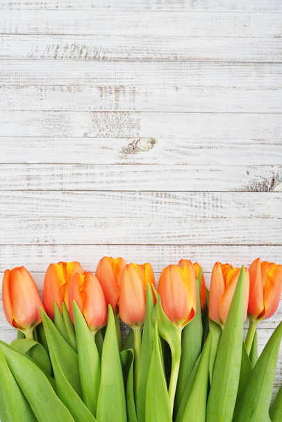 Red tulips over wooden background - Foto, afbeelding