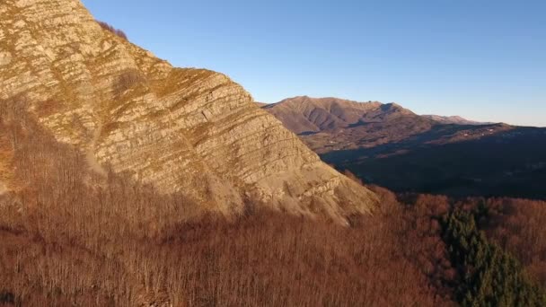  Luchtfoto schot, herfst landschap in de hoge bergen met naaldhout, zon naar beneden, gefilmd met drone - Video