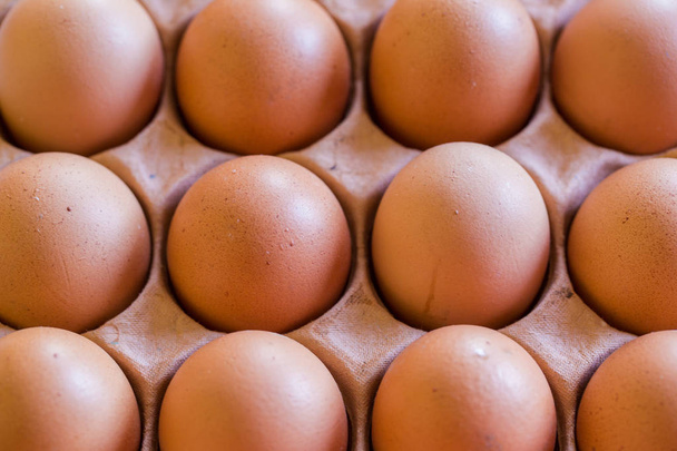 Close up image of eggs  - Photo, image