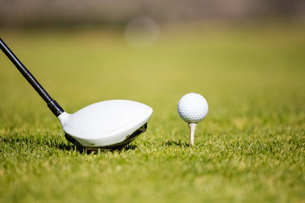 golf driver and a golf ball - 写真・画像