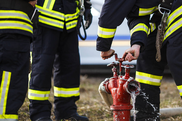 Firefighters fighting fire during training - Foto, afbeelding