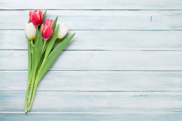 tulipes rouges et blanches - Photo, image