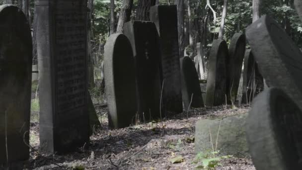 Varşova, Avrupa 'daki tarihi Yahudi mezarlığında eski bir taş mezar - Video, Çekim