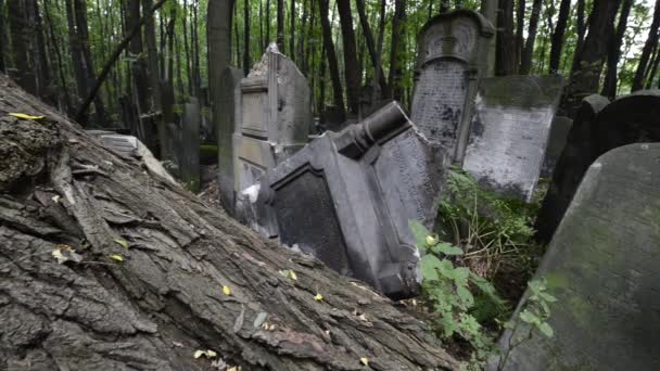 altes Steingrab auf dem historischen jüdischen Friedhof in Warschau, Polen - Filmmaterial, Video