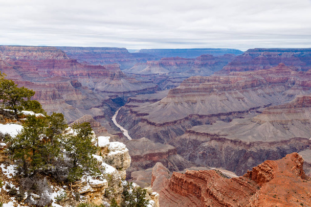 Grand Canyon drzew z zima snow, patrząc na zachód - Zdjęcie, obraz