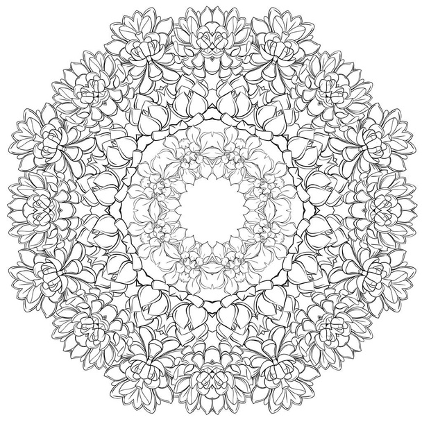 Mandala,Succulents. circular pattern - Вектор,изображение