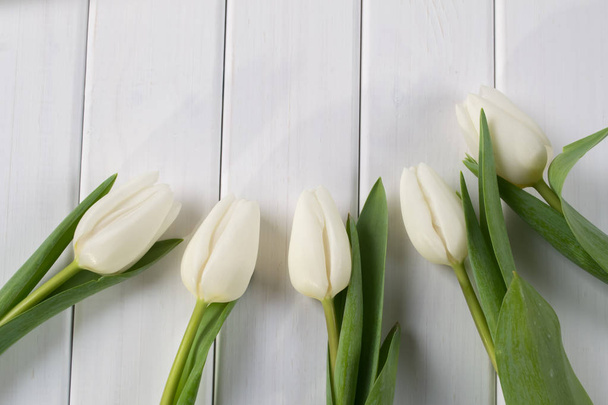Tulipanes de primavera sobre madera pintada blanca
. - Foto, Imagen