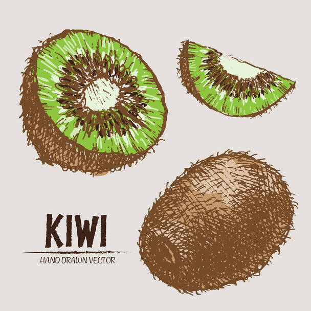 vector digital detallado color kiwi dibujado a mano
 - Vector, imagen