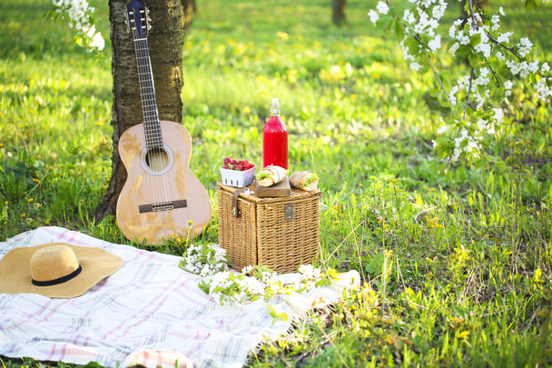 Guitare, panier, sandwichs, plaid et jus dans un gard fleuri
 - Photo, image