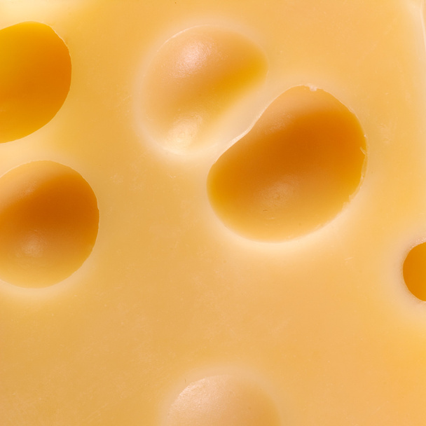 Piece of tasty cheese - Foto, Bild