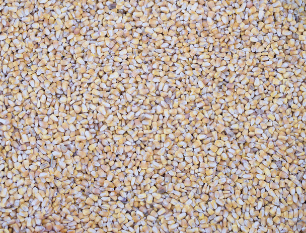 suchej kukurydzy tekstur - Zdjęcie, obraz