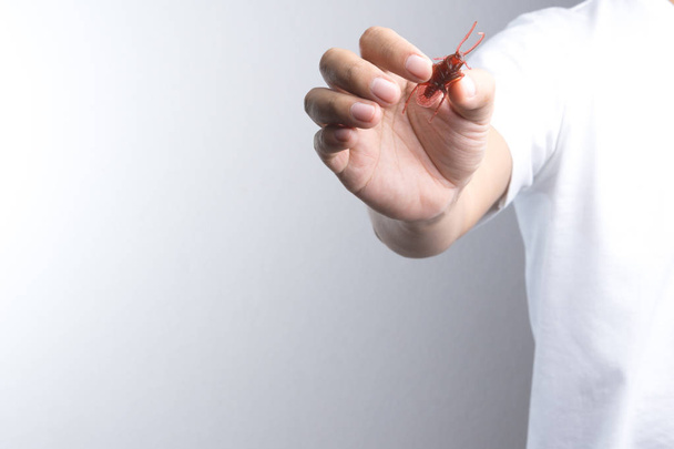 Hand holding cockroach toy - Fotó, kép