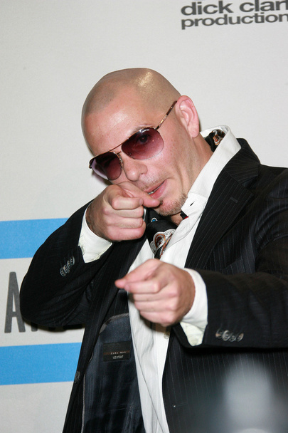 Pitbull at the 2010 American Music Awards Press Room, Nokia Theater, Los Angeles, CA. 11-21-10 - Photo, image