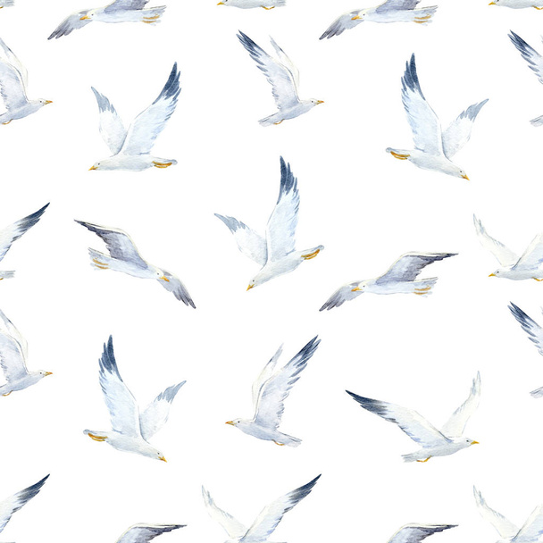 Watercolor seagull pattern - Φωτογραφία, εικόνα