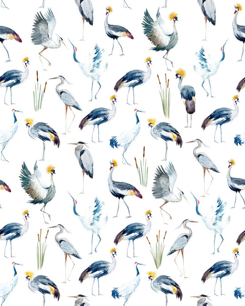 Watercolor african crane pattern - 写真・画像