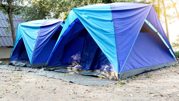 blauwe tent kamperen in het bos - Foto, afbeelding