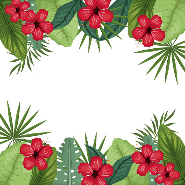 card hibiscus with palm leaves border - Wektor, obraz