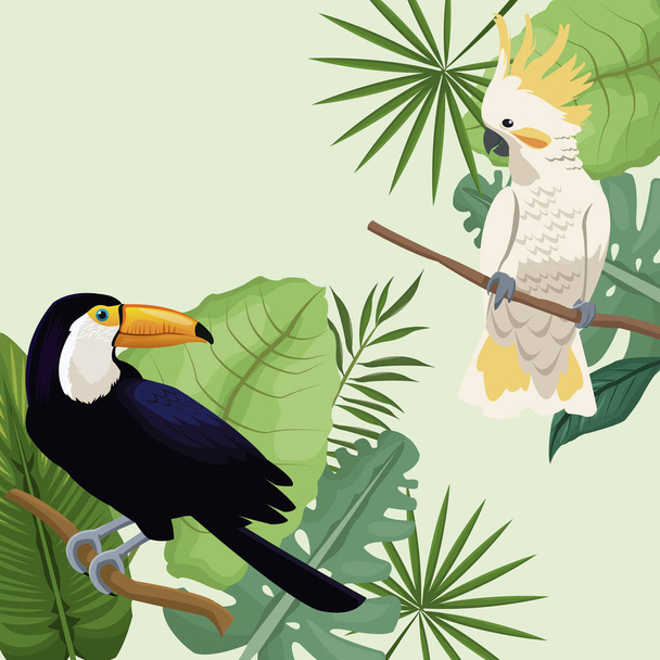 cockatoo and toucan leaves tropical poster - Vector, Image