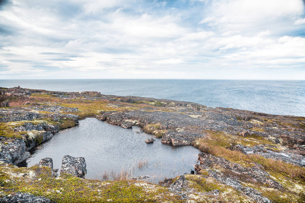 Arctic Ocean shore - Foto, afbeelding