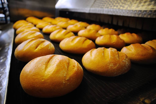 fresh bread out of the oven - Photo, image