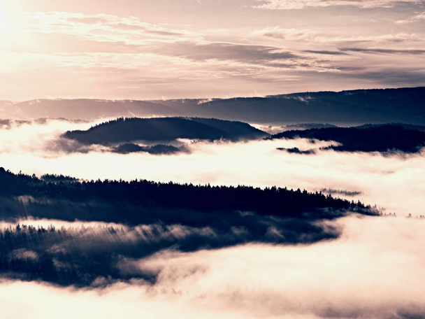 Autumn sunrise above above forest, fall misty valley - Photo, Image