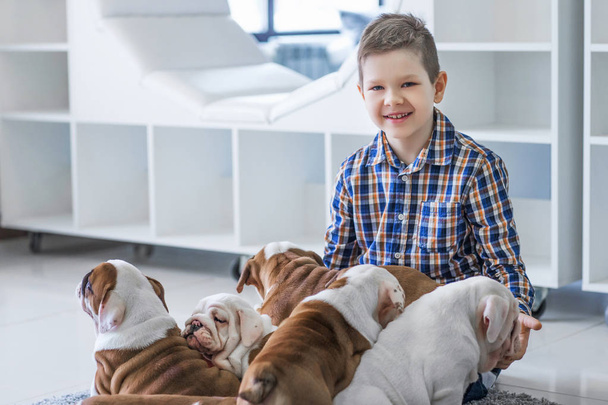 Cute boy sitting on the floor with the puppies English bulldog - Photo, image