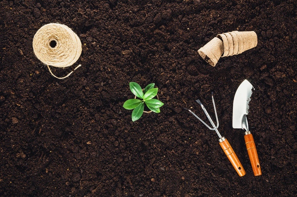 Gardening tools on garden soil texture background top view - Foto, Bild