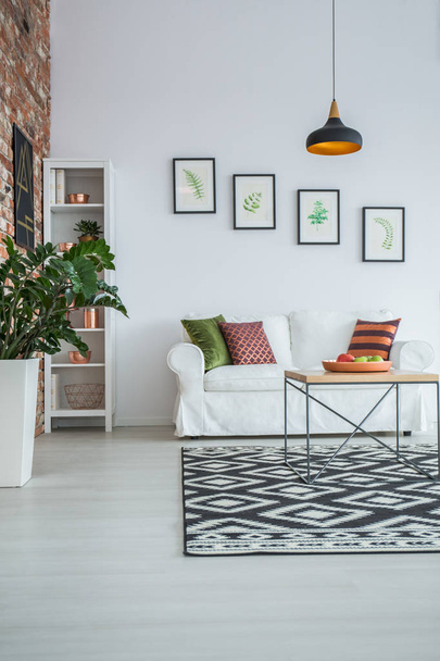 White living room with carpet - Fotografie, Obrázek