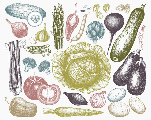 Ink hand drawn vegetables sketch - Vector, Image